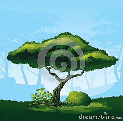 Tree with a curved crown Vector Illustration