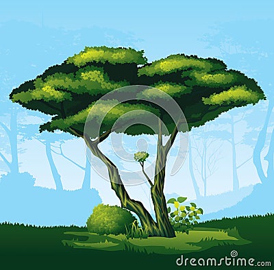 Tree with a curved crown Vector Illustration