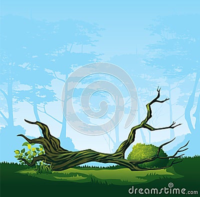 Tree with a curved crown Vector Illustration