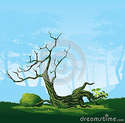 Tree with a curved crown Vector Illustration