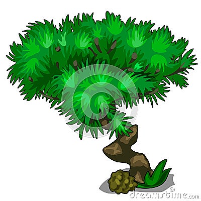 Tree with curved trunk and lush crown of leaves Vector Illustration