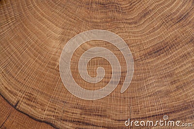 Abstract background like slice of wood timber natural. Stock Photo