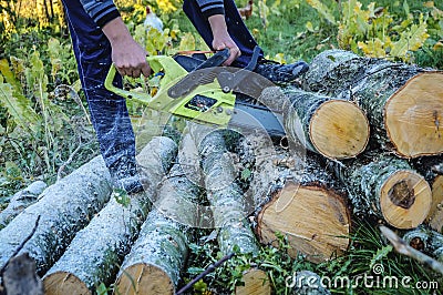 Tree cutting in garden Editorial Stock Photo