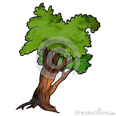 Tree - Deciduous Cartoon Illustration