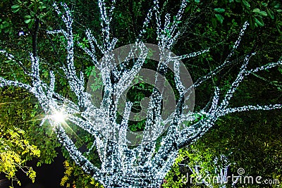 Tree decorated with white small lights Stock Photo