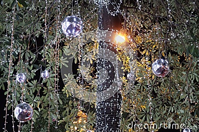 Tree decoration with light and ball Stock Photo