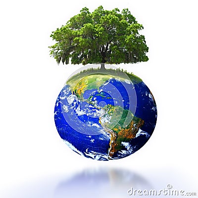 Tree on earth Stock Photo