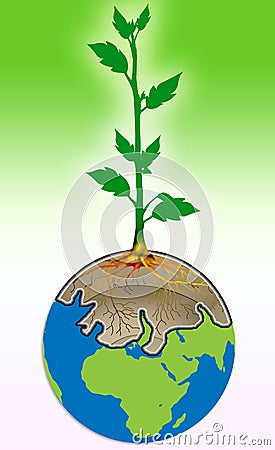 Tree on earth Stock Photo