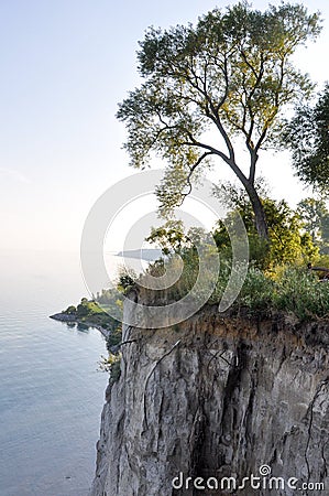 Tree on edge of cliff and Lake Ontario - Scarborough Bluffs - Toronto Stock Photo