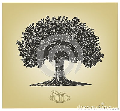 Tree in engraving style Vector Illustration