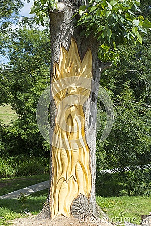Tree engraving in tarbert park Stock Photo