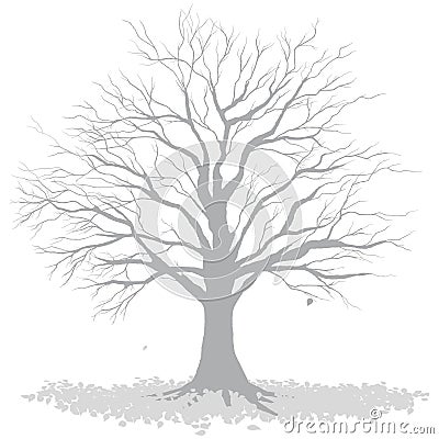 The tree with fallen leaves.Monochrome vector illustration. Vector Illustration