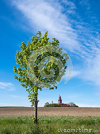 Tree, field and lighthouse in Bastorf, Germany Stock Photo