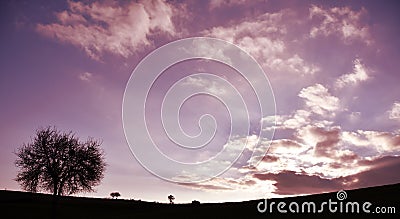 Tree and field under the immense sky, silhouette of trees and clouds Stock Photo