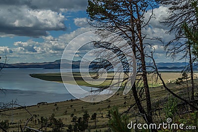 Tree after fire in green yellow grass on slope of mountain. Baikal lake with islands. Blue sky with clouds, mountains Stock Photo