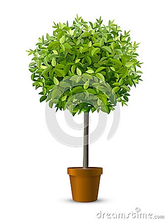 Tree in flowerpot Vector Illustration
