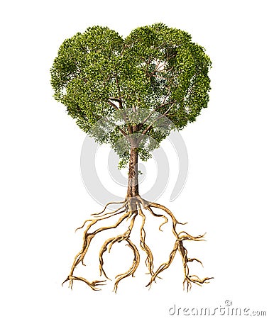 Tree with foliage with the shape of a heart and roots as text Lo Stock Photo