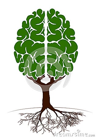 A tree in the form of a human brain. Two hemispheres. Green plant for an article on knowledge and teaching. Vector Illustration