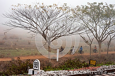 Tree frames in a scenic rural field. People cycling on a village road. View from distance. Burdwan West Bengal India South Asia Editorial Stock Photo