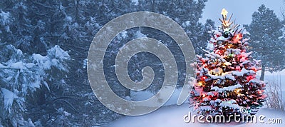 This Tree Glows Brightly On Snow Covered Foggy Christmas Morning Stock Photo