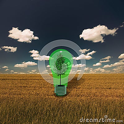 Tree in Green Bulb Stock Photo