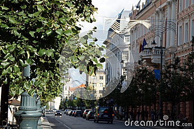 A tree with green foliage with a lamp post hidden in it on an old busy avenue Editorial Stock Photo