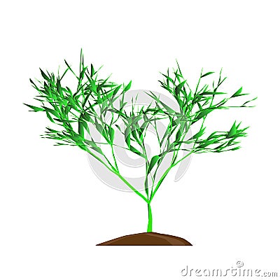 The Tree with green leafage on a whie background, vector illustration Vector Illustration