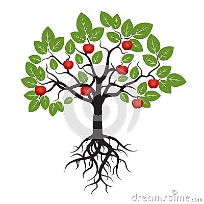 Tree with Green Leafs, Roots and Red Apple. Stock Photo