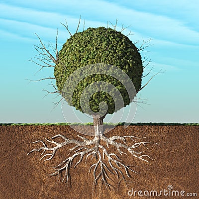 A tree with green leaves Cartoon Illustration