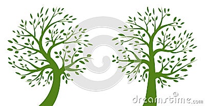 Tree green logo set. Eco organic emblem collection. Family life. Plant oak logotype icon . Vector silhouette of tree. Vector Illustration