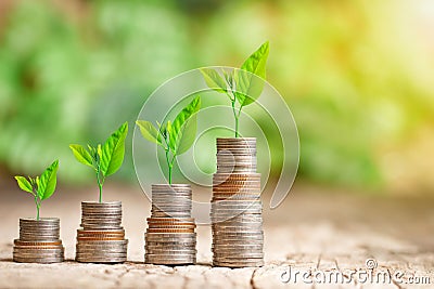 Tree growing on coins stack for saving money concept Stock Photo