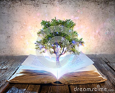 Tree Growing From The Old Book Stock Photo