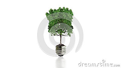 3d Animated Tree stock video. Video of plant, grow, motion - 39995111