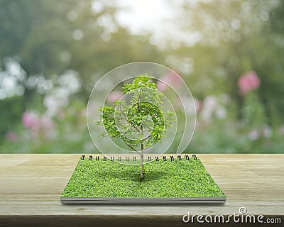 Tree growing from an open book, Ecological concept Stock Photo