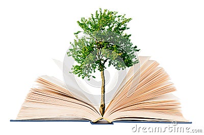 Tree growing from open book on white background Stock Photo