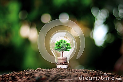 Tree grows in light bulbs, energy-saving and environmental. Stock Photo