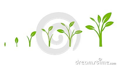 Tree growth diagram with green leaf. Vector Illustration