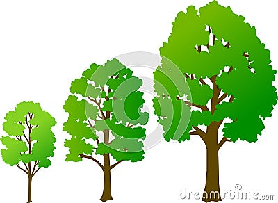 Tree Growth/eps Vector Illustration