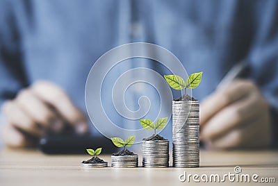 Tree growth on increasing coins stacking in front of businessman who use calculator count saving dividend and profit from Stock Photo