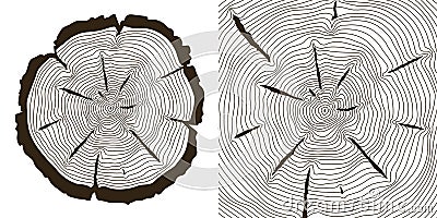 Tree growth rings, saw trunk cuts vector illustration Vector Illustration