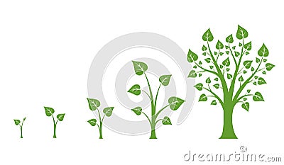 Tree growth vector diagram Vector Illustration