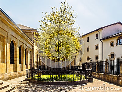 The Tree of Guernica Gernika, Basque Country Stock Photo