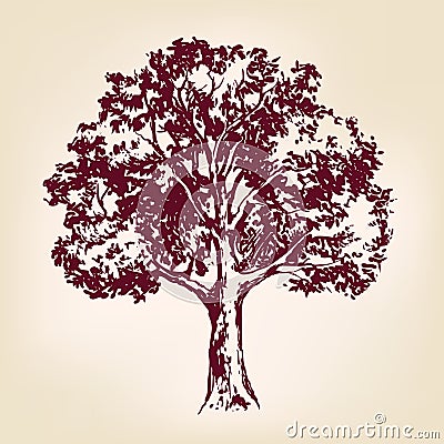 Tree hand drawn vector llustration sketch Vector Illustration