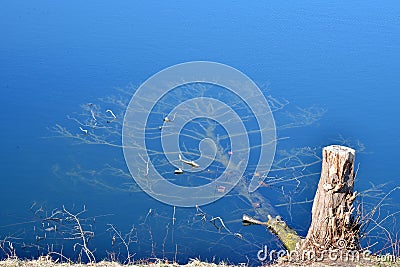 A tree has fallen in the Lake at the beach in DronningmÃ¸lle, North Zealand, Denmark Stock Photo