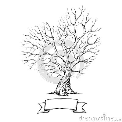 Tree with heart-shaped crown Stock Photo