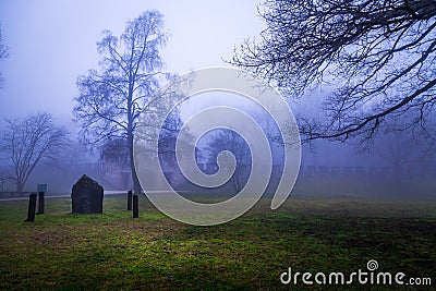 The Tree and Historic Ancient Rome Castle in a Foggy Misty Day Stock Photo