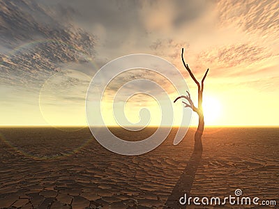 Tree on Horizon Stock Photo