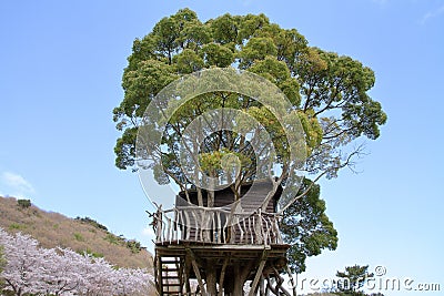 Tree house in Higashi izu Stock Photo