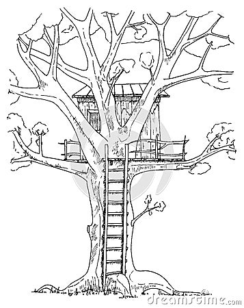 Tree house. House on tree for kids. Children playground ladder. Flat style vector illustration Vector Illustration