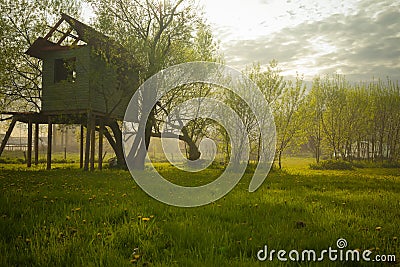 Tree house Stock Photo